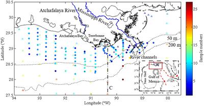 Seasonal Mixing and Biological Controls of the Carbonate System in a River-Dominated Continental Shelf Subject to Eutrophication and Hypoxia in the Northern Gulf of Mexico